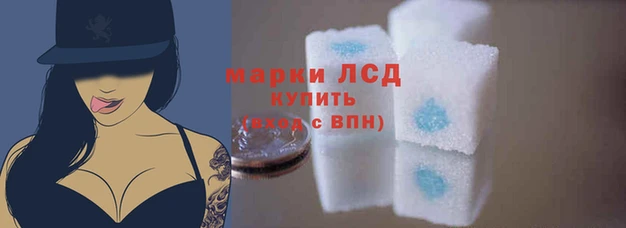 ECSTASY Белокуриха